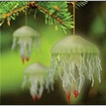 Thought for the Week: Jellyfish Tree